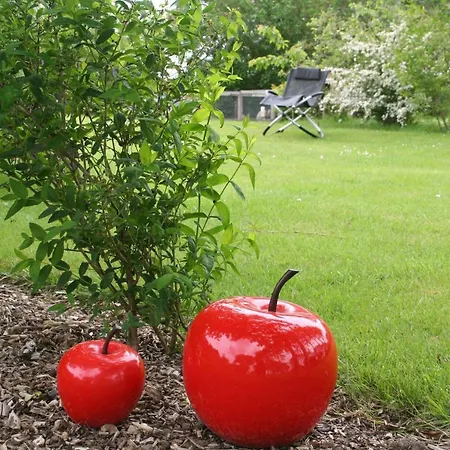 Apartament Wohnung-krabbe